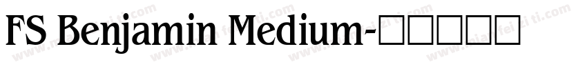 FS Benjamin Medium字体转换